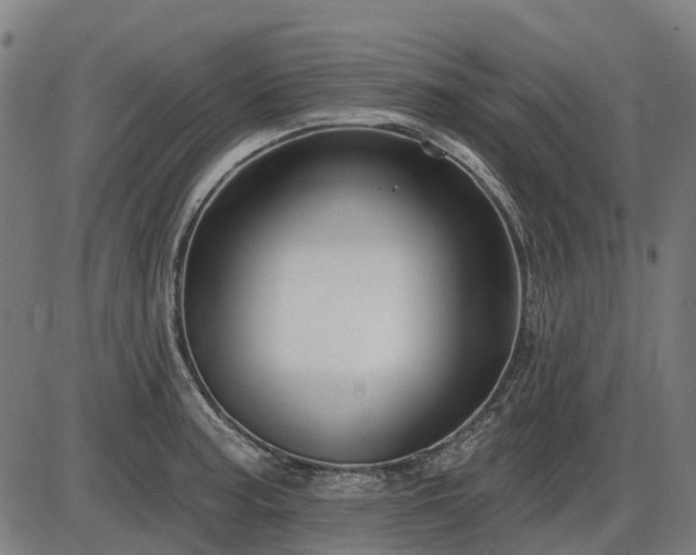 X0000085321187200703161458