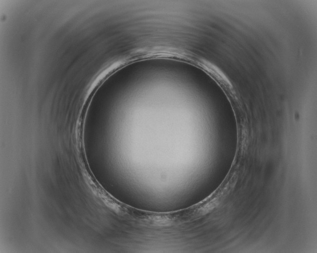 X0000085321190200703161458