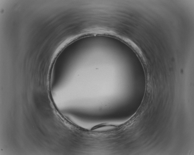 X0000085321191200703161458