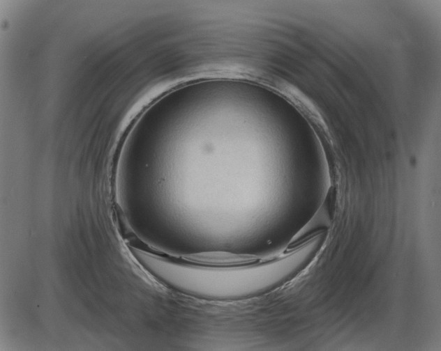 X0000085321192200703161458