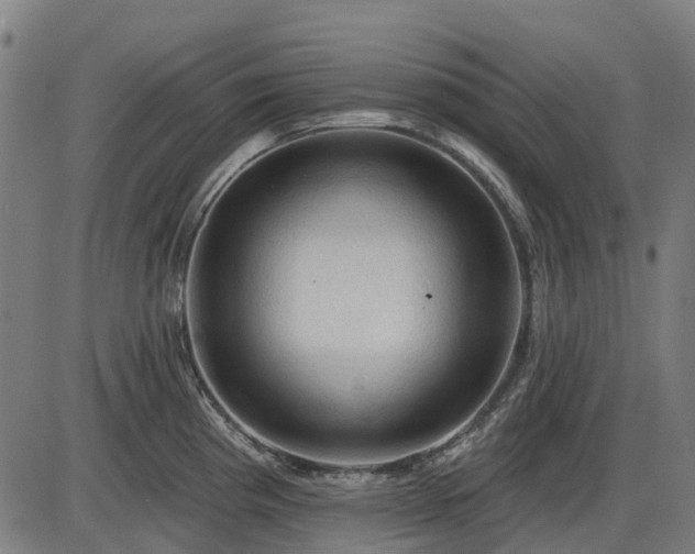 X0000085321193200703161458