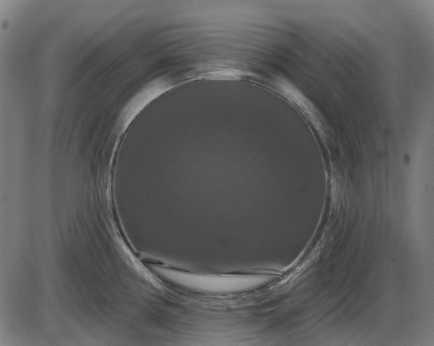 X0000085321194200703161458