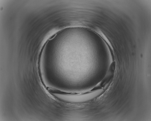X0000085321197200703161458