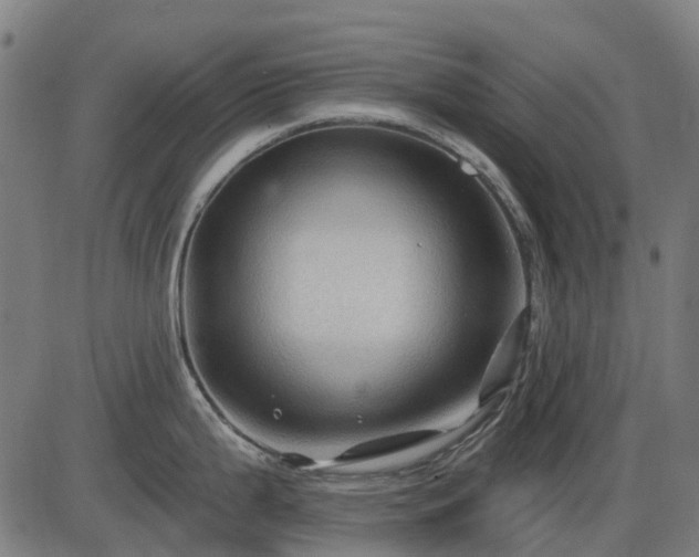 X0000085321199200703161457
