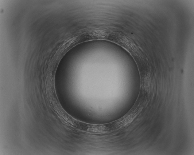 X0000085321201200703161457