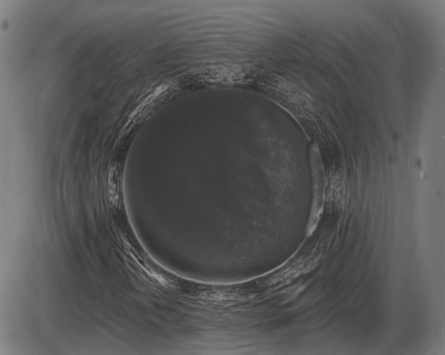 X0000085321202200703161457