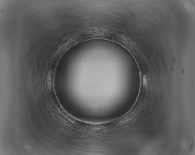 X0000085321203200703161457