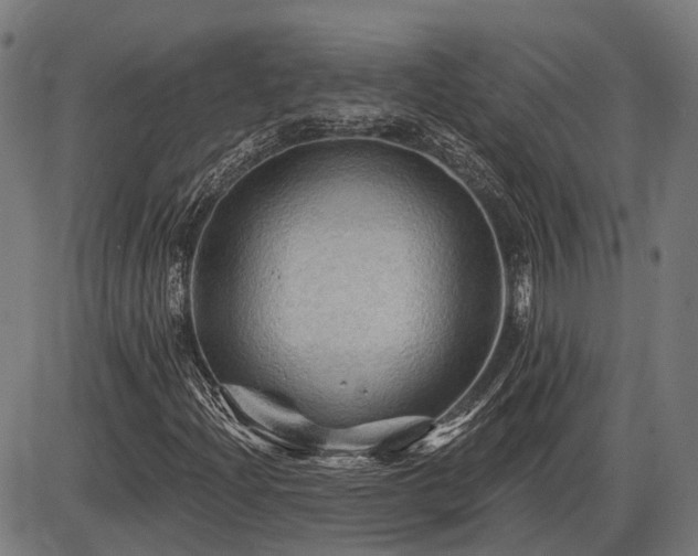X0000085321204200703161457