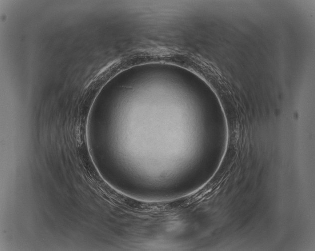 X0000085321205200703161457