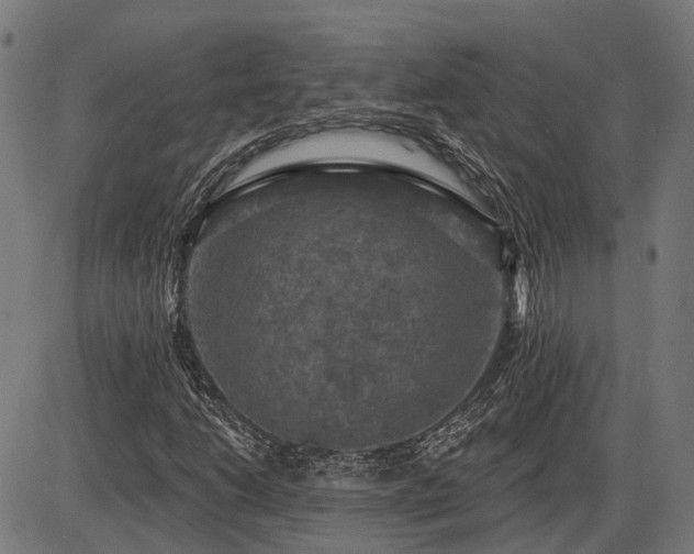 X0000085321206200703161457