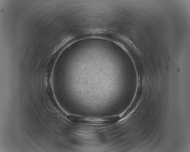 X0000085321209200703161457