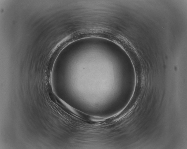 X0000085321210200703161457