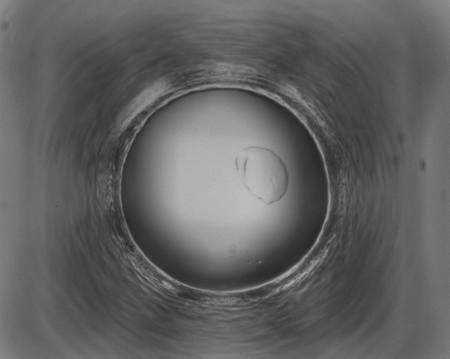 X0000085321211200703161457