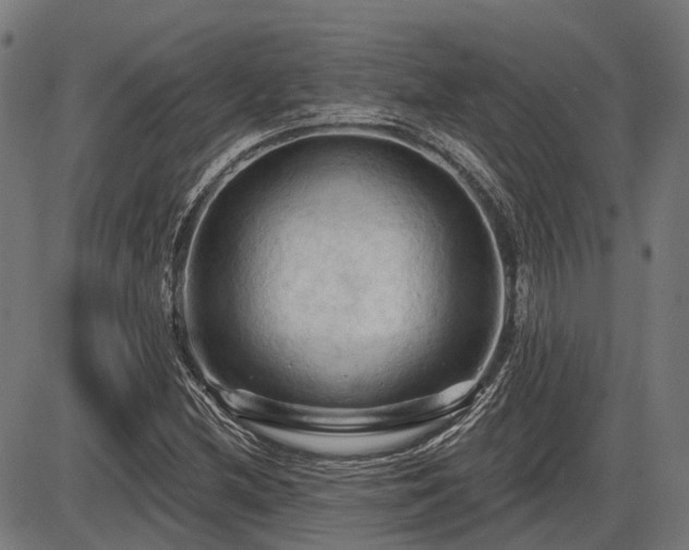 X0000085321212200703161457