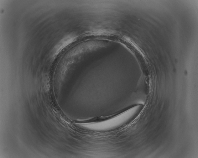 X0000085321213200703161457