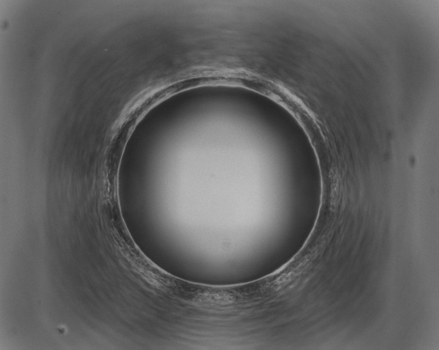 X0000085321215200703161457