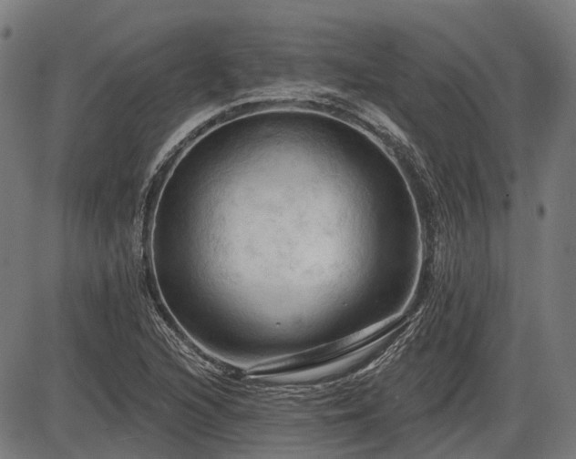 X0000085321216200703161457