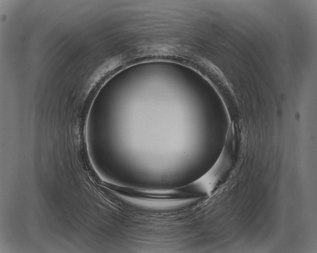X0000085321218200703161457