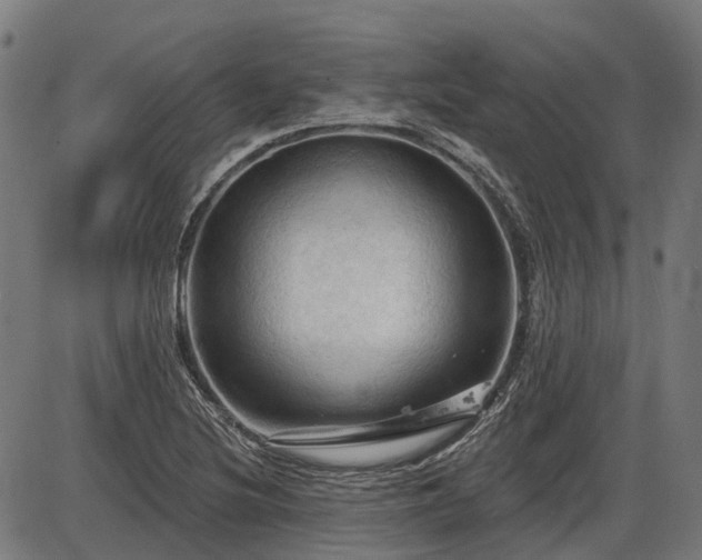 X0000085321220200703161457