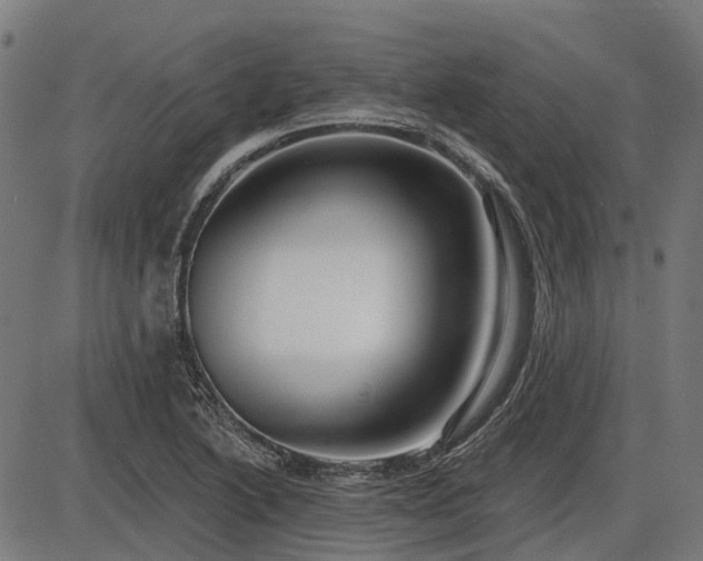 X0000085321222200703161457