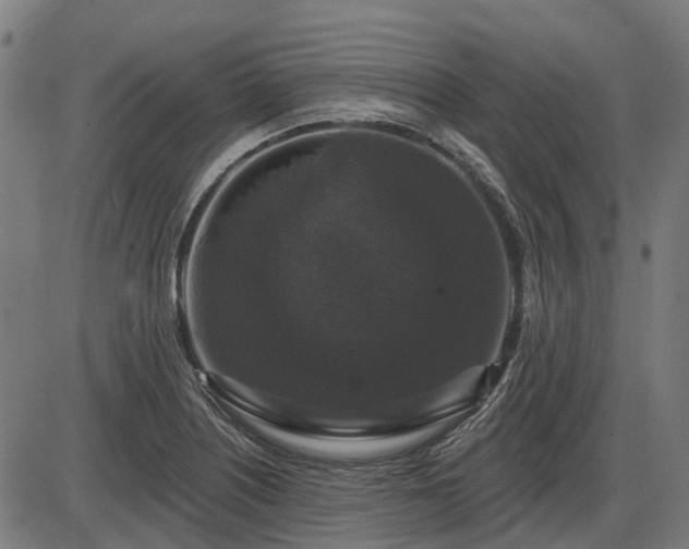 X0000085321226200703161457