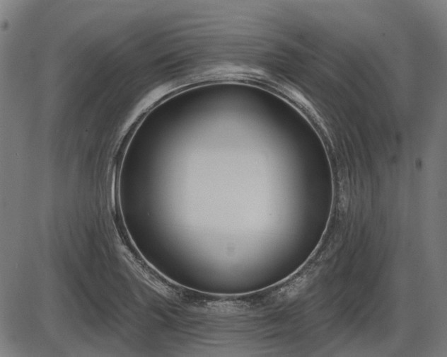 X0000085321227200703161457