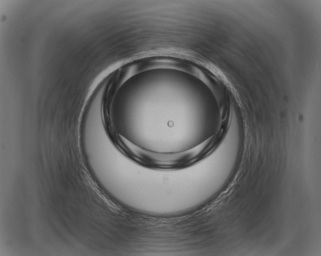 X0000085321230200703161457