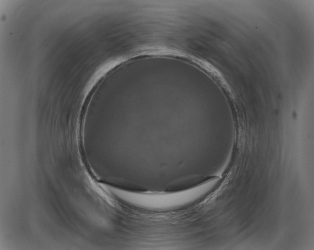 X0000085321231200703161457
