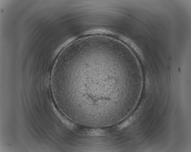 X0000085321233200703161457