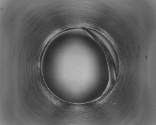 X0000085321234200703161457