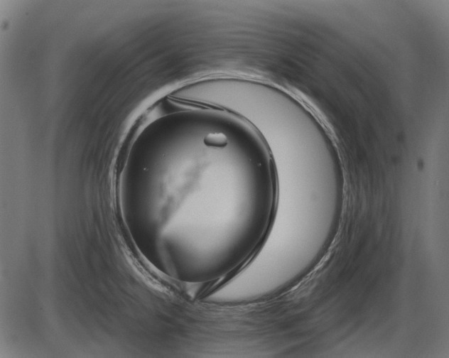 X0000085321238200703161457