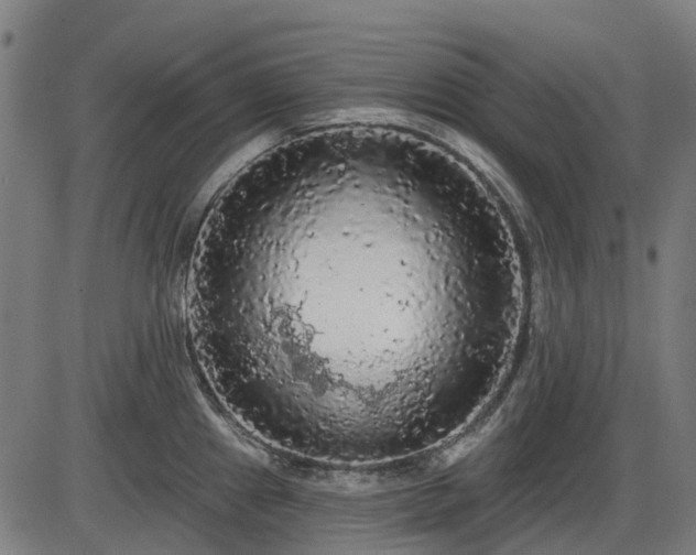 X0000085321241200703161457