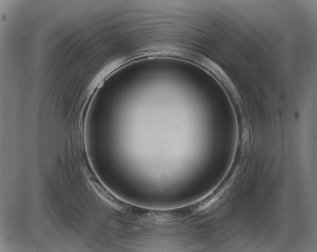 X0000085321242200703161457