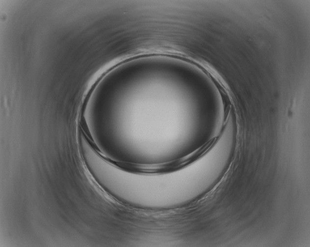 X0000085321246200703161457