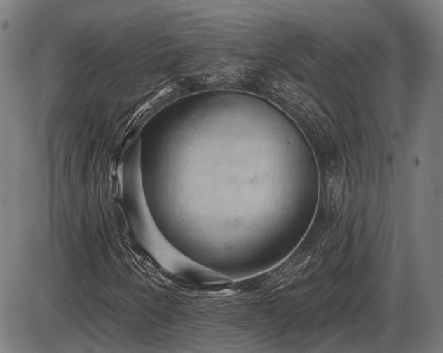 X0000085321250200703161457