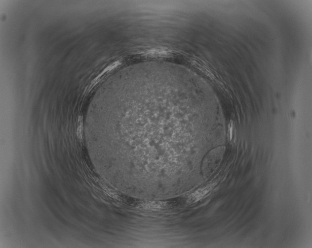 X0000085321251200703161457