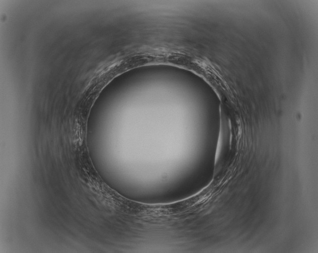 X0000085321253200703161457