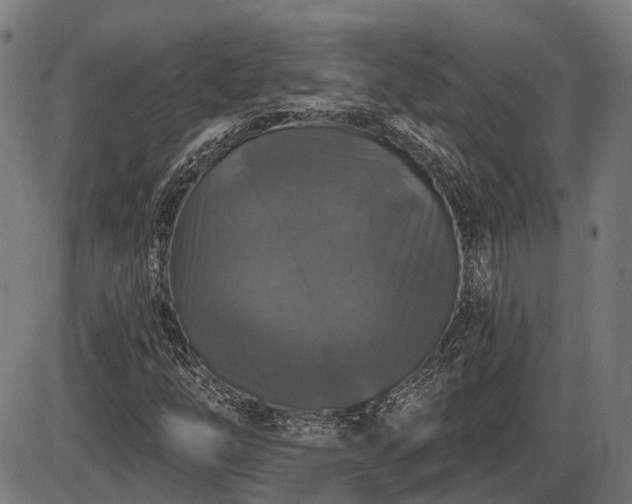 X0000085321254200703161457