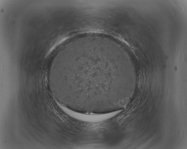X0000085321255200703161457