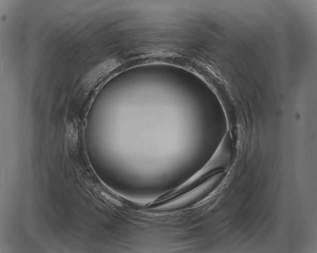 X0000085321257200703161457