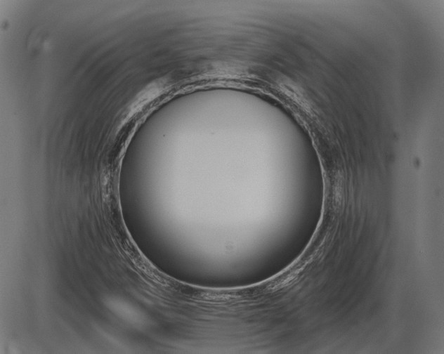 X0000085321258200703161457