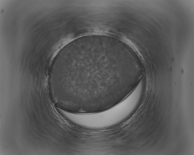 X0000085321260200703161456