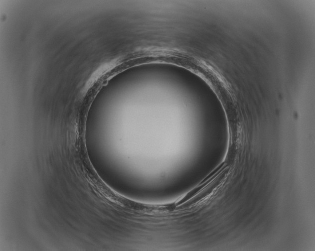 X0000085321261200703161456