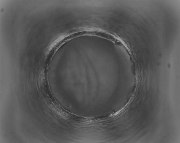 X0000085321263200703161456