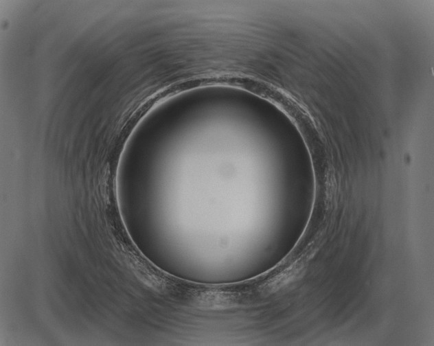 X0000085321265200703161456