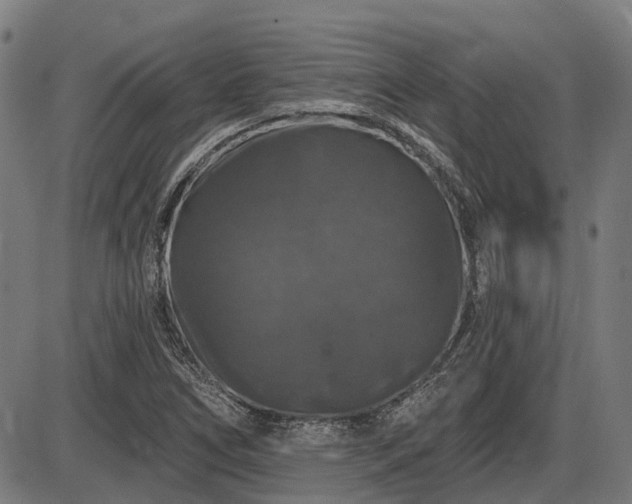 X0000085321266200703161456