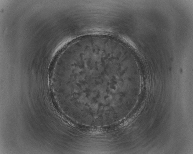 X0000085321267200703161456