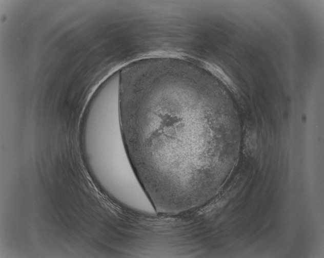 X0000085321268200703161456