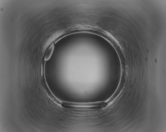 X0000085321269200703161456