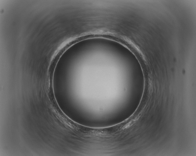 X0000085321270200703161456